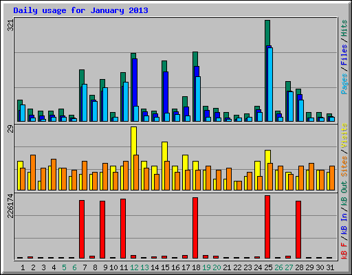 Daily usage for January 2013