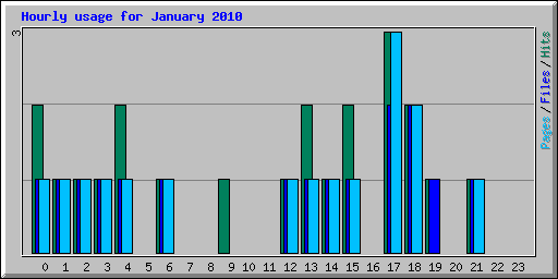 Hourly usage for January 2010