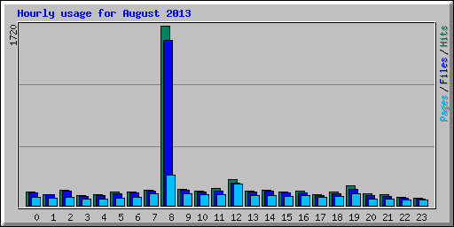 Hourly usage for August 2013